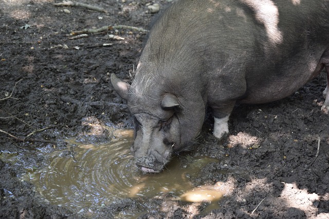 惊叹的团队 惊叹的团队