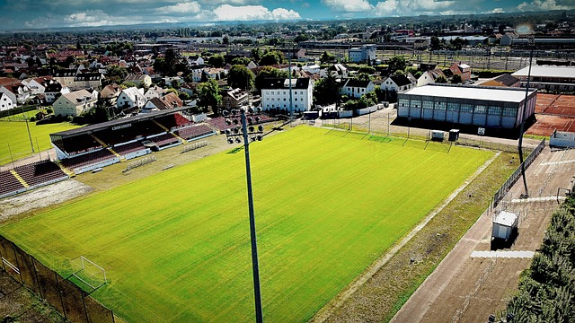 尽管面对挑 尽管面对挑