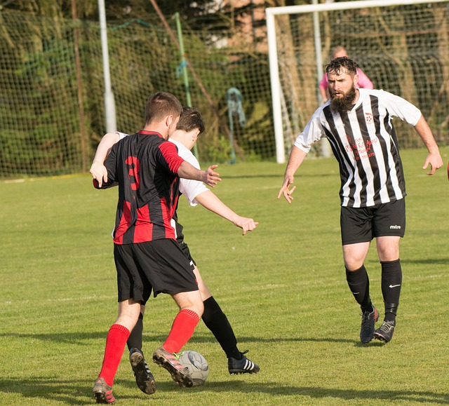 雪运动的观 雪运动的观